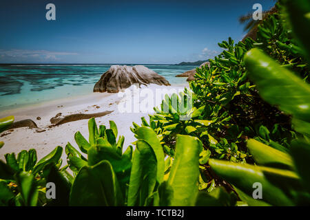 Beautifully shaped granite boulder framed with green leaves at Anse Source d'Argent beach, La Digue island, Seychelles