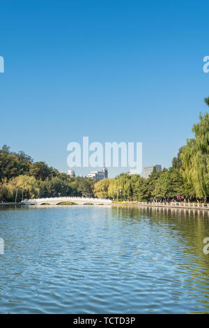 Autumn China Fushun early morning park river bank willow stone bridge cruise ship Stock Photo