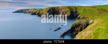 Ceibwr Bay, UK - May 22, 2019:  Spring evening light on the coastal path and Sea Pinks in Ceibwr Bay, Pemroke, Wales, UK Stock Photo