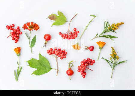 Autumn floral composition. Plants viburnum berries, dogrose, orange and yellow fresh flowers on white background. Autumn fall natural plants ecology wallpaper concept. Flat lay, top view, copy space Stock Photo