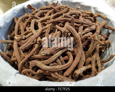 Salvia miltiorrhiza is a medicinal herb. Stock Photo