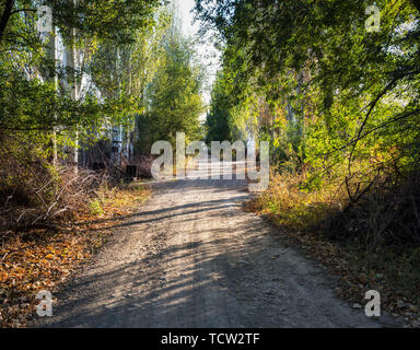 Township road scenery Stock Photo