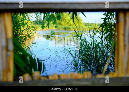 Bird watching frame in Vacaresti Nature Park (Parcul Natural Vacaresti), Bucharest, Romania, in the evening, with views towards the natural lake ecosy Stock Photo