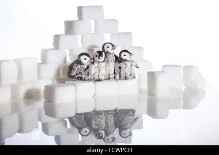 Creative filming cubes and penguins Stock Photo