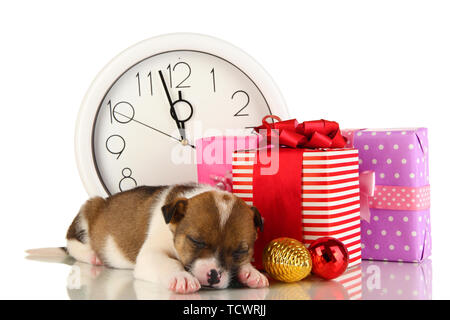 Beautiful little puppy surrounded by gift isolated on white Stock Photo