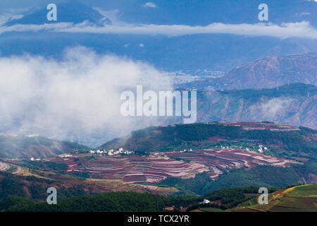 terraced field Stock Photo