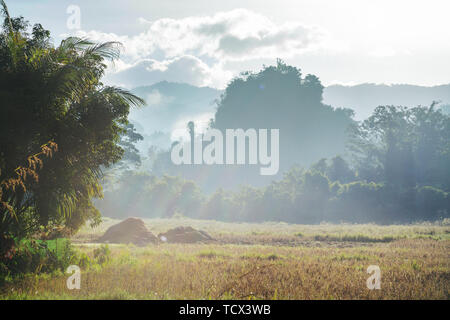 Rural landscapes in Northern Thailand Stock Photo