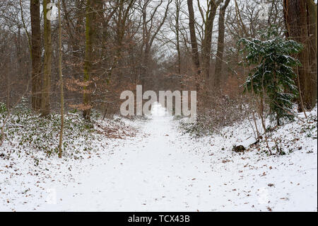 Crude Park in the French winter Stock Photo