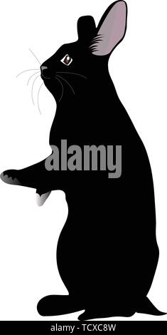 Black rabbit standing Stock Vector