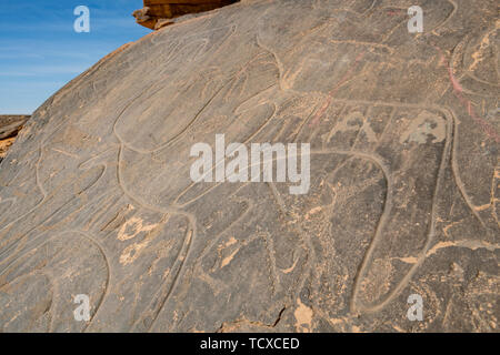 Prehistoric rock carvings near the Oasis of Taghit, western Algeria, North Africa, Africa Stock Photo