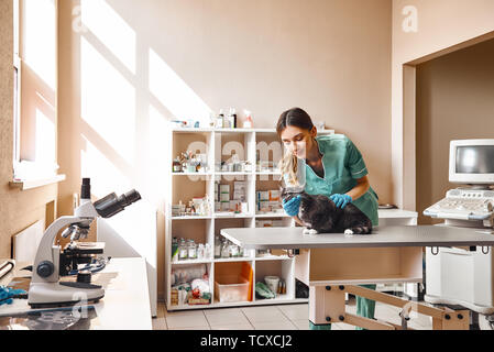 The cutest patient. Young and positive female veterinarian is making a medical check up of a black cat which is sitting on a table at veterinary clini Stock Photo