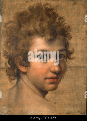 Portrait of a Boy. Creator: Fontana, Lavinia (1552-1614). Stock Photo