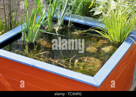 Raised garden pond. Small garden pond made from recycled wooden pallets Stock Photo