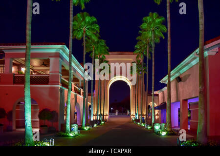 Orlando, Florida. February 05, 2019.  Imperial Palm trees in Universal Studios street at Citywalk. Stock Photo