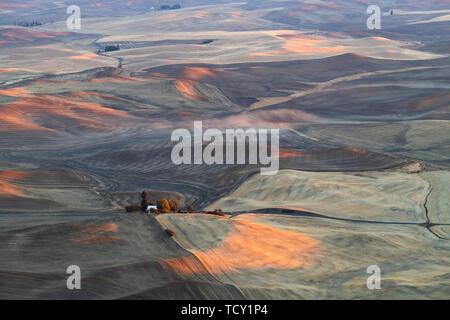 Farmland in the Palouse, Palouse, Washington State, United States of America, North America Stock Photo