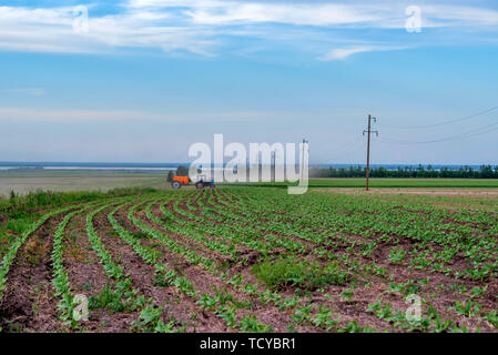 Blue tractor with spraying device in green field distant view Stock Photo
