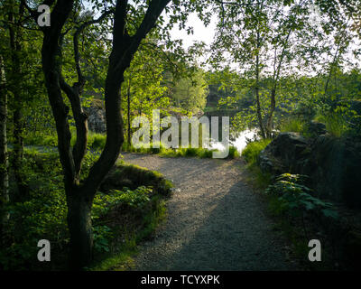 Foot path in the green nature next to a lake in Baneheia. Kristiansand, Norway. Stock Photo