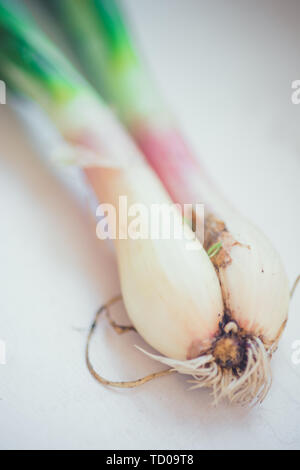 Fresh green onion with roots close up Stock Photo