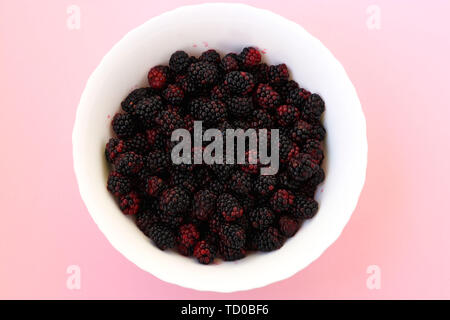 Blackberries in a white bowl on a pink background, top view, summer harvest Stock Photo