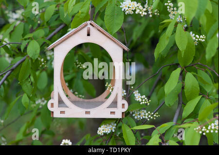 Wooden bird feeder on the bird cherry tree Stock Photo
