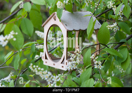 Wooden bird feeder on the bird cherry tree Stock Photo