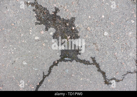 Texture of cracked asphalt. Texture of old gray cracked rough asphalt Stock Photo