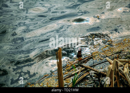 An empty glass bottle floats down a muddy river. Stock Photo