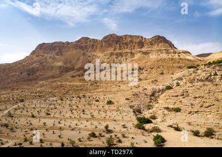 Red mountain in Ein Gedi National park, Israel. Agricultural plantation in an oasis in the Desert. High cliff on the background of the cloudy sky Stock Photo