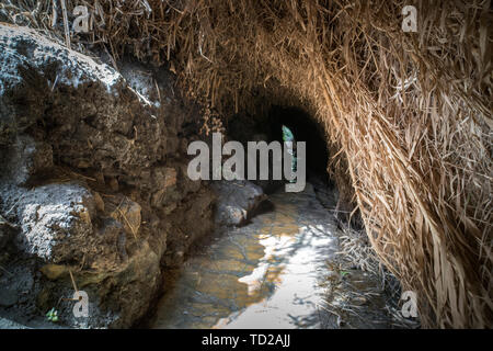 Natural gallery made from cliff stones and green. Secret mystical narrow path throgh the cave. Ein Gedi - Nature Reserve and National Park, Israel Stock Photo