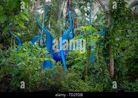 Turquoise Marlins and Floats by Dale Chihuly, part of a glass sculpture exhibit in Kew Gardens. Stock Photo