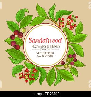 sandalwood vector frame on color background Stock Vector