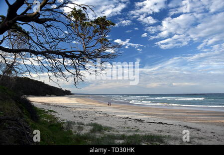 Panoramic landscape of Woolgoolga, Woolgoolga Headland and beach in New South Wales, Australia. People walking on the beach. Stock Photo