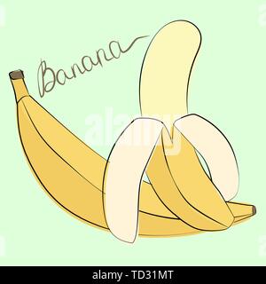 Vector illustration of whole and peeled bananas on pastel green background Stock Vector