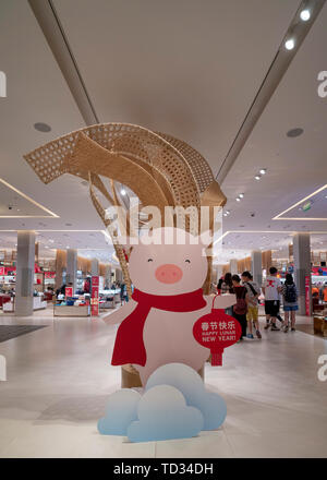 Siem Reap, Cambodia, 25th, January, 2019: The DFS duty free shop in Siem Reap. Stock Photo