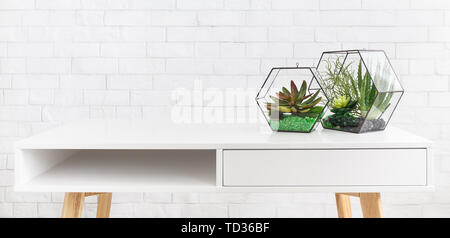 Succulent plants in two geometric florarium vases on table Stock Photo