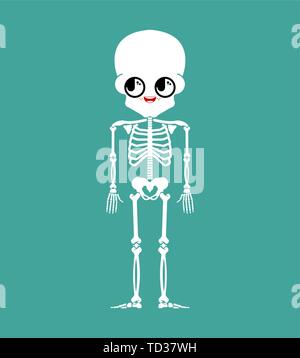 Cute kawaii skeleton isolated. funny skull cartoon style. kids character. Childrens style. Stock Vector