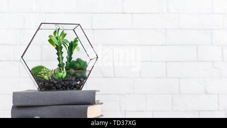 Florarium and books on table at white background Stock Photo