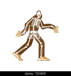 Bigfoot skeleton islated. sasquatch skull and bones. Abominable snowman. sasquatch Remains Stock Vector