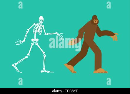 Bigfoot skeleton islated. sasquatch skull and bones. Abominable snowman. sasquatch Remains Stock Vector