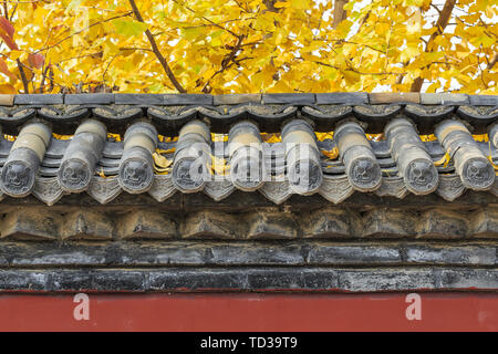Autumn colors in the courtyard wall Stock Photo