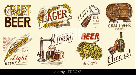 Bottle of beer in hand with the inscription Cheers toast. Rye and wheat. Set of Vintage labels and badges for poster. Hand drawn engraved sketch for Stock Vector