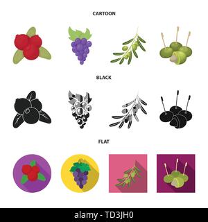 blackberry,cranberry,food,honeysuckle,grape,branch,olive,bone,gooseberry,red,berry,fruit,forest,redberry,fresh,cocktail,medicine,autumn,sweet,health,set,vector,icon,illustration,isolated,collection,design,element,graphic,sign, Vector Vectors , Stock Vector