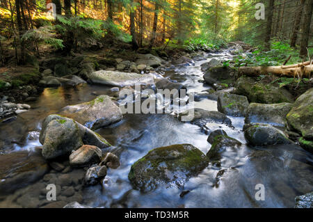 Beautiful serene landscape with mountain river in the forest taken in Ukrainian Carpathian mountains Stock Photo