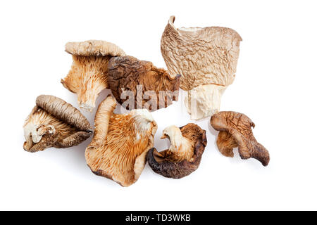 dried shitake mushrooms isolated on white Stock Photo