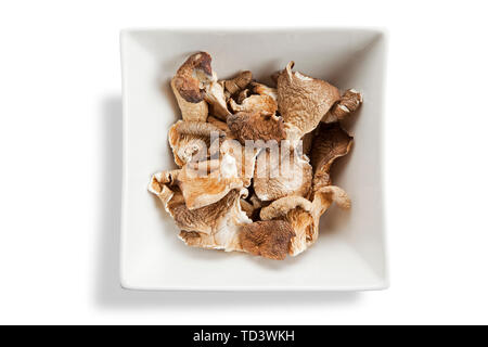 square bowl of dried shitake mushrooms isolated on white Stock Photo