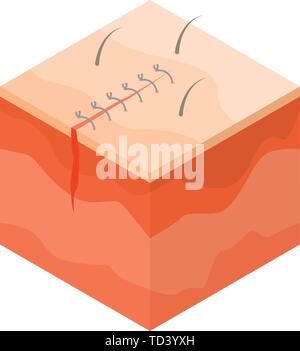 Medical surgical suture icon, isometric style Stock Vector