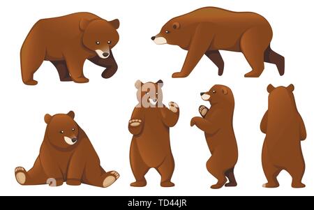 Set of Grizzly bears. North America animal, brown bear. Cartoon animal design. Flat vector illustration isolated on white background. Stock Vector