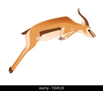 African wild black-tailed gazelle with long horns cartoon animal design flat vector illustration on white background side view antelope jumping. Stock Vector