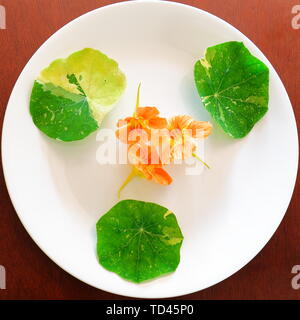 Trio Of Nasturtium Leaves Placed At The 10 2 And 6 O Clock Positions On The Plate And A Trio Of Nasturtium Flowers In The Center Of The Plate Stock Photo Alamy