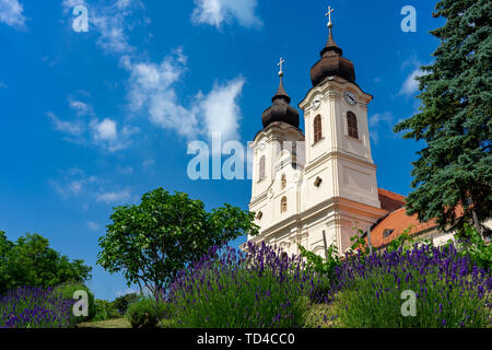 Benedictine abbey with lavender flower in Tihany, Hungary at the region famous lavender festival Stock Photo